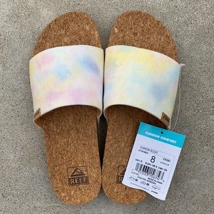 REEF Scout Slides